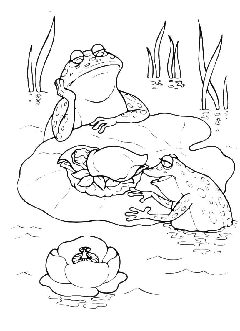 Coloring Toad from Thumbelina. Category the frog. Tags:  Reptile, frog.