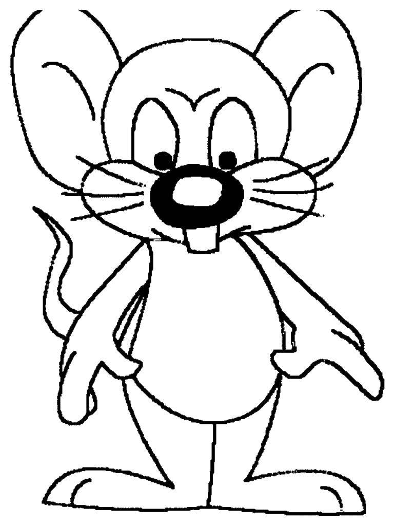 Название: Раскраска Злой мышонок. Категория: мышка. Теги: Мышка, животные.