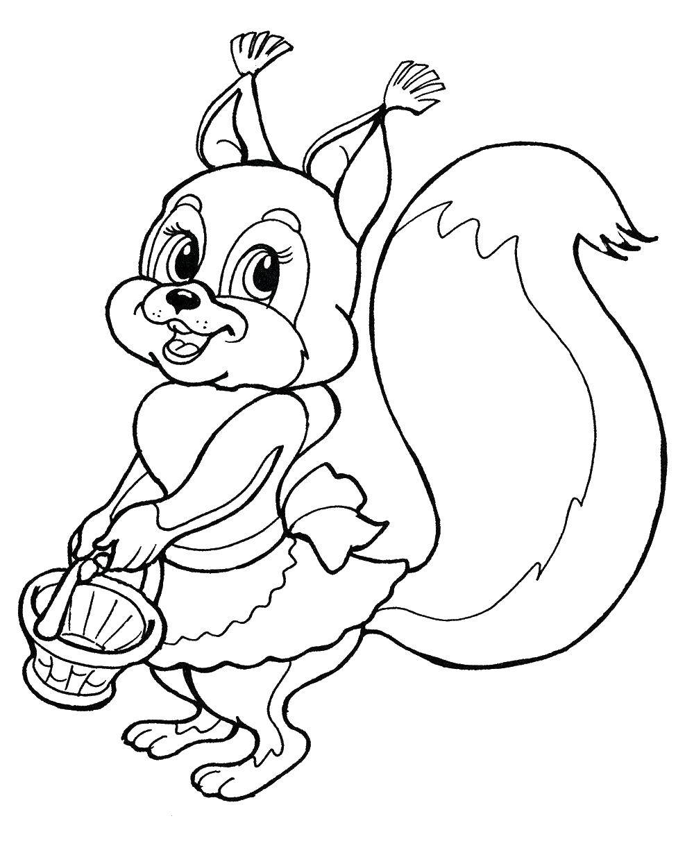 Coloring Squirrel with basket. Category squirrel. Tags:  squirrel, nuts.