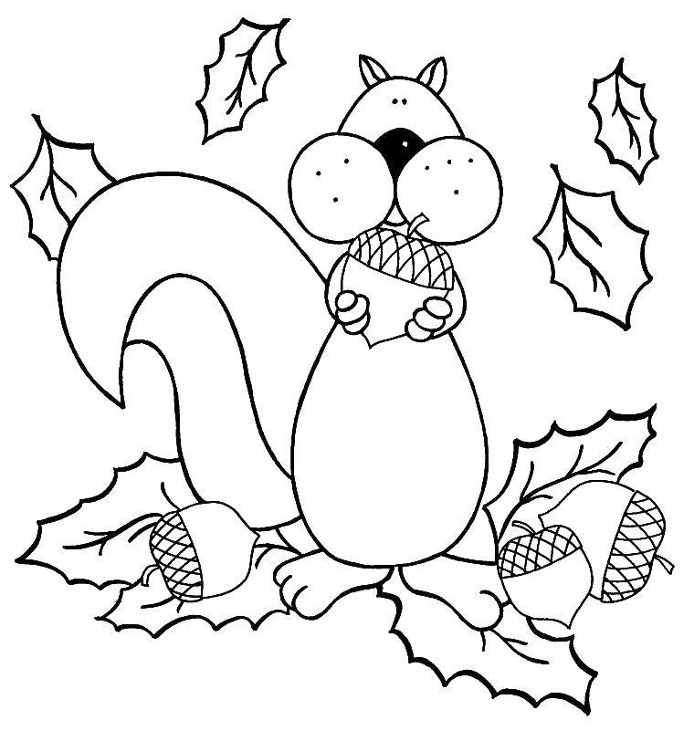 Coloring Squirrel with a nut. Category squirrel. Tags:  squirrel, nuts.