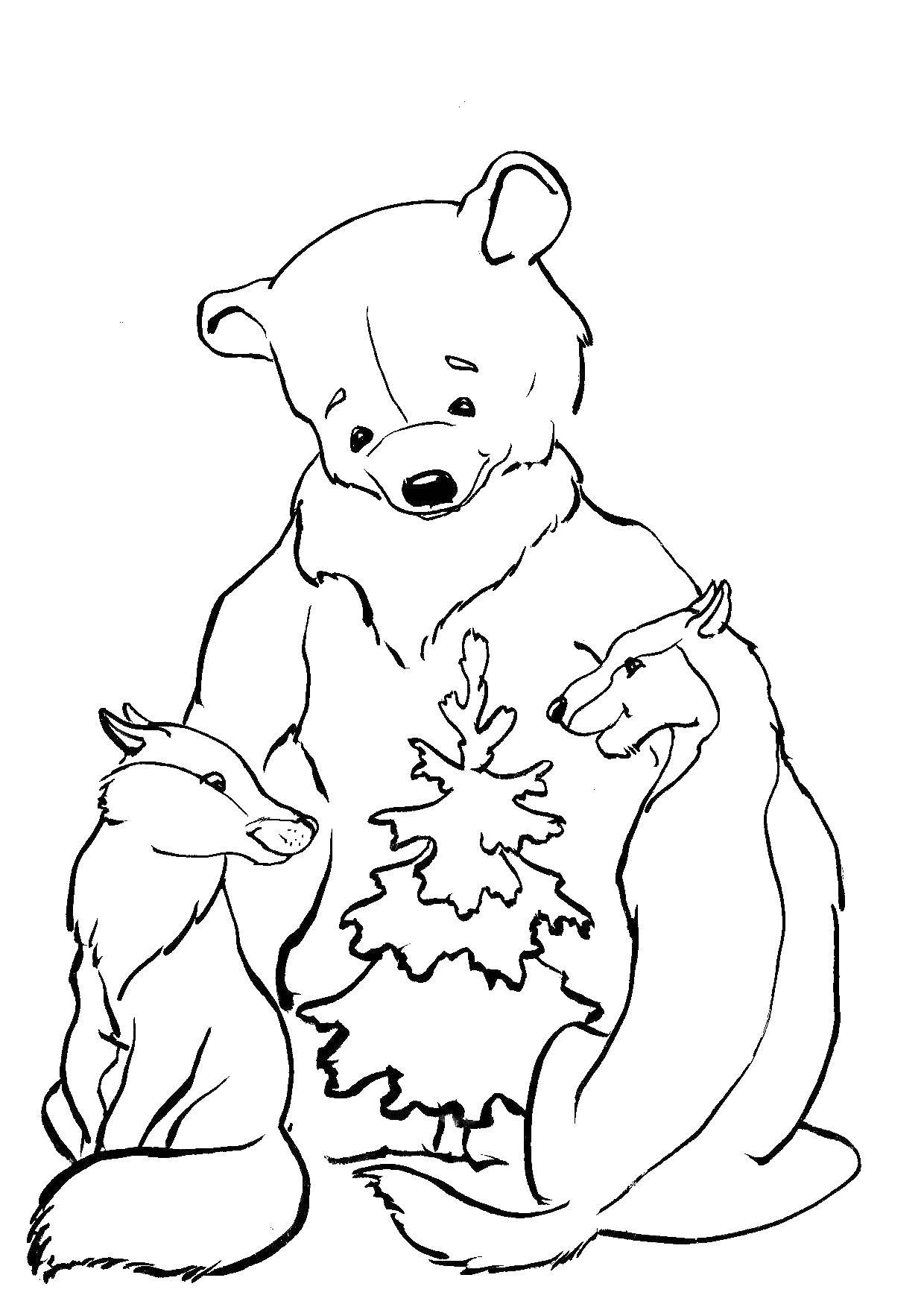 Coloring Wolves and bears. Category Animals. Tags:  wolves, bears.