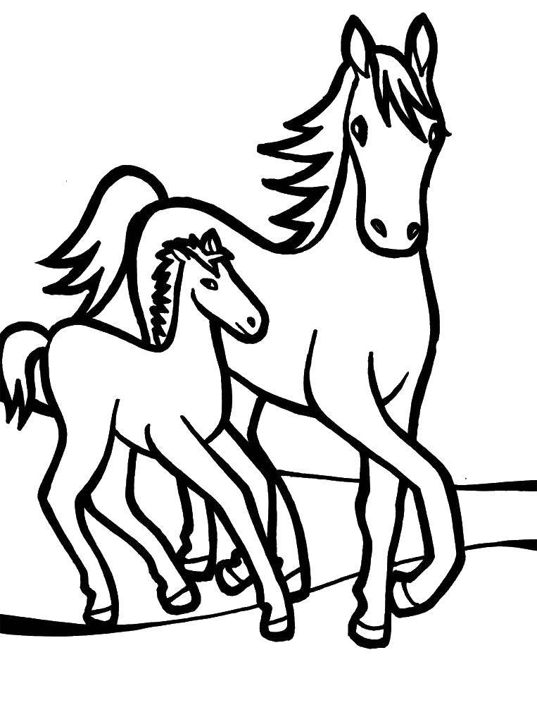 Название: Раскраска Лошадь и жеребенок. Категория: Животные. Теги: лошадь, жеребенок.