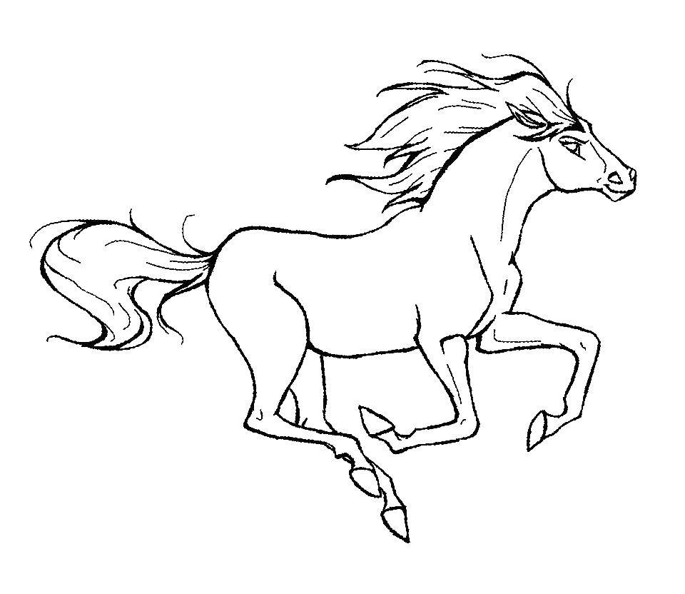 Coloring Horse. Category Animals. Tags:  Horse.