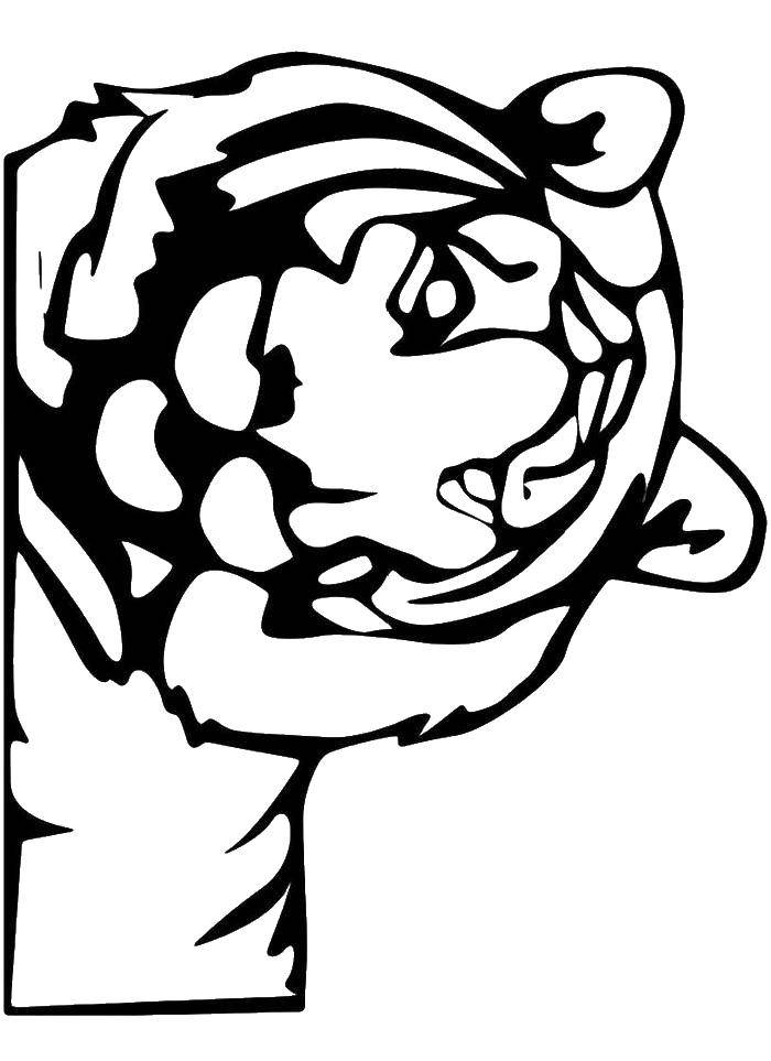 Coloring Tiger. Category The contours of animals. Tags:  the tiger.
