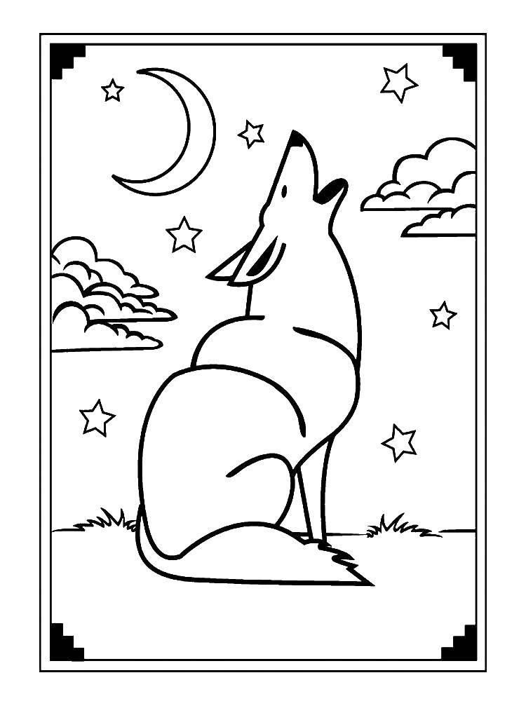 Coloring Wolf howling at the moon. Category wolf. Tags:  wolf.