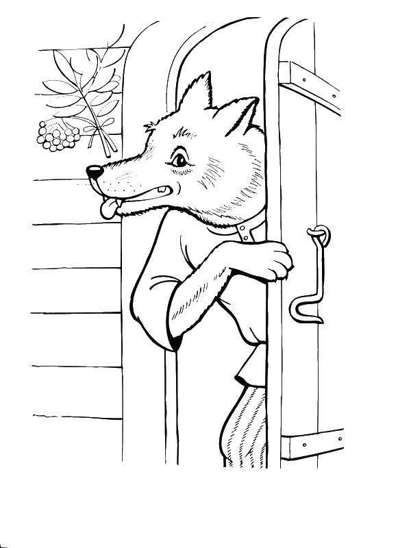 Coloring The wolf went into the house. Category wolf. Tags:  wolf.