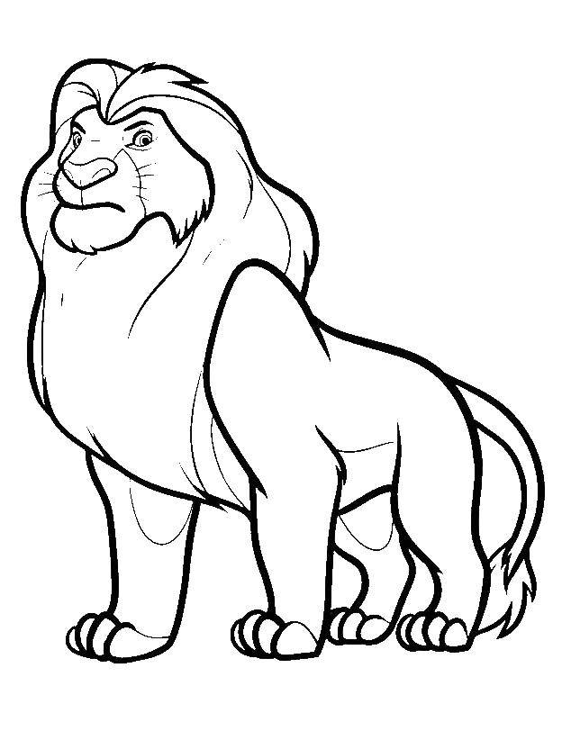 Розмальовки  Король лев симба. Завантажити розмальовку король лев Симба.  Роздрукувати ,Король лев,