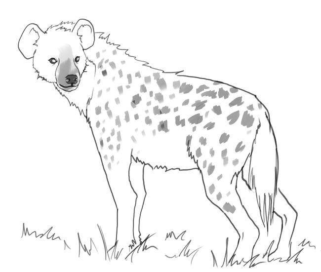 Coloring Hyena. Category Animals. Tags:  hyena.