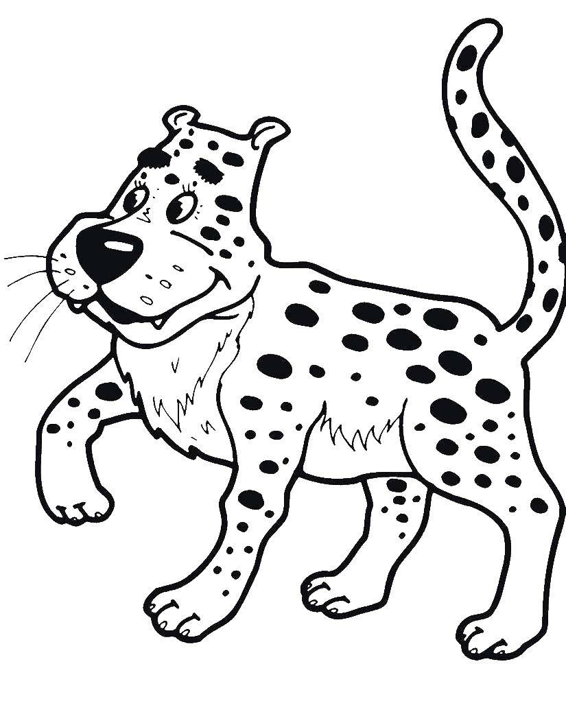 Coloring Leopard. Category leopard. Tags:  leopard.