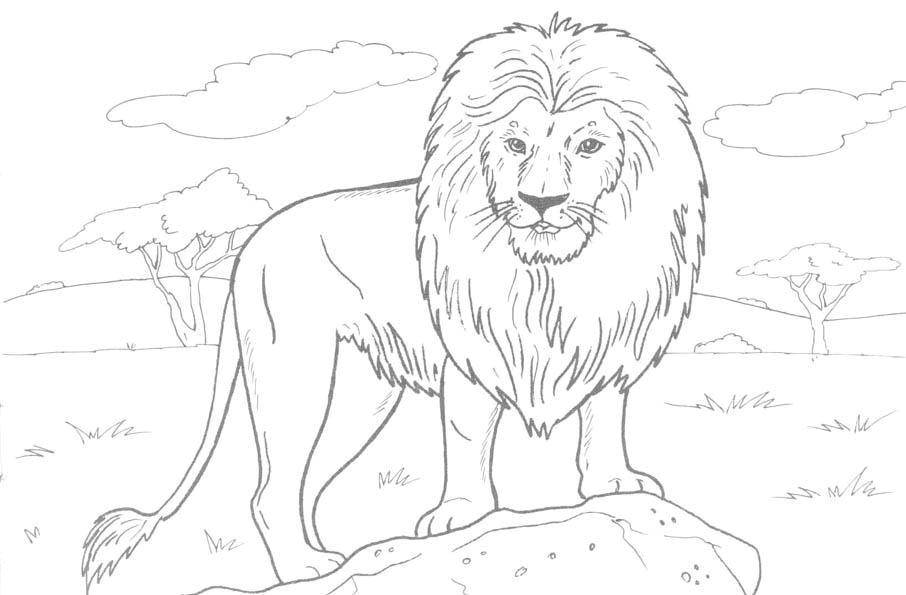 Coloring Leo. Category Animals. Tags:  lion.