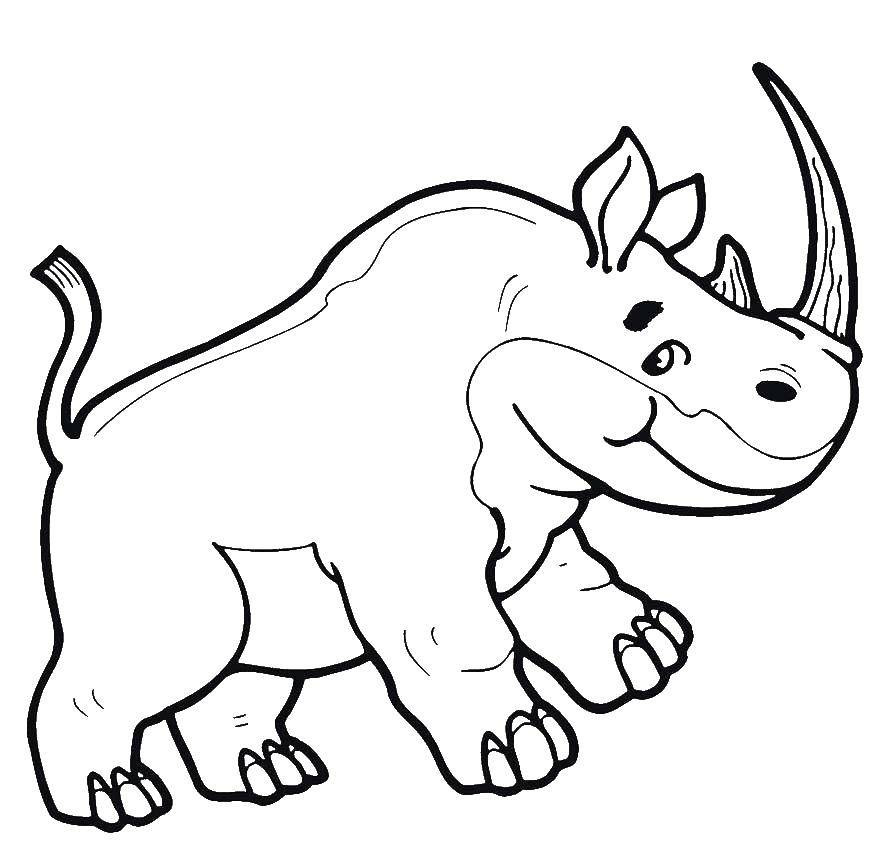 Название: Раскраска Носорог. Категория: Животные. Теги: носорог.