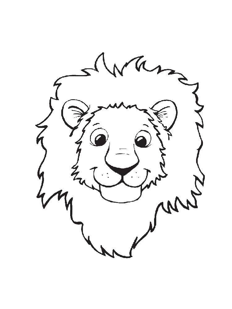Розмальовки  Лев. Завантажити розмальовку лев, тварина.  Роздрукувати ,лев,