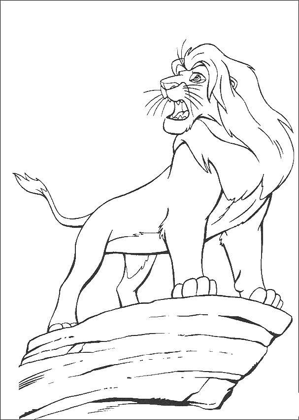 Название: Раскраска Король лев. Категория: Король лев. Теги: лев, Симба.