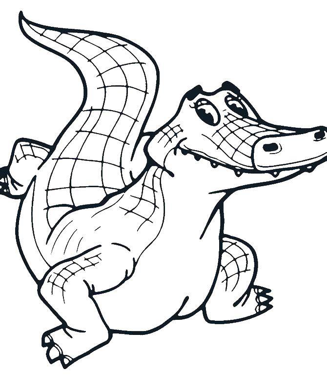 Coloring Crocodile. Category Animals. Tags:  crocodile, animals.