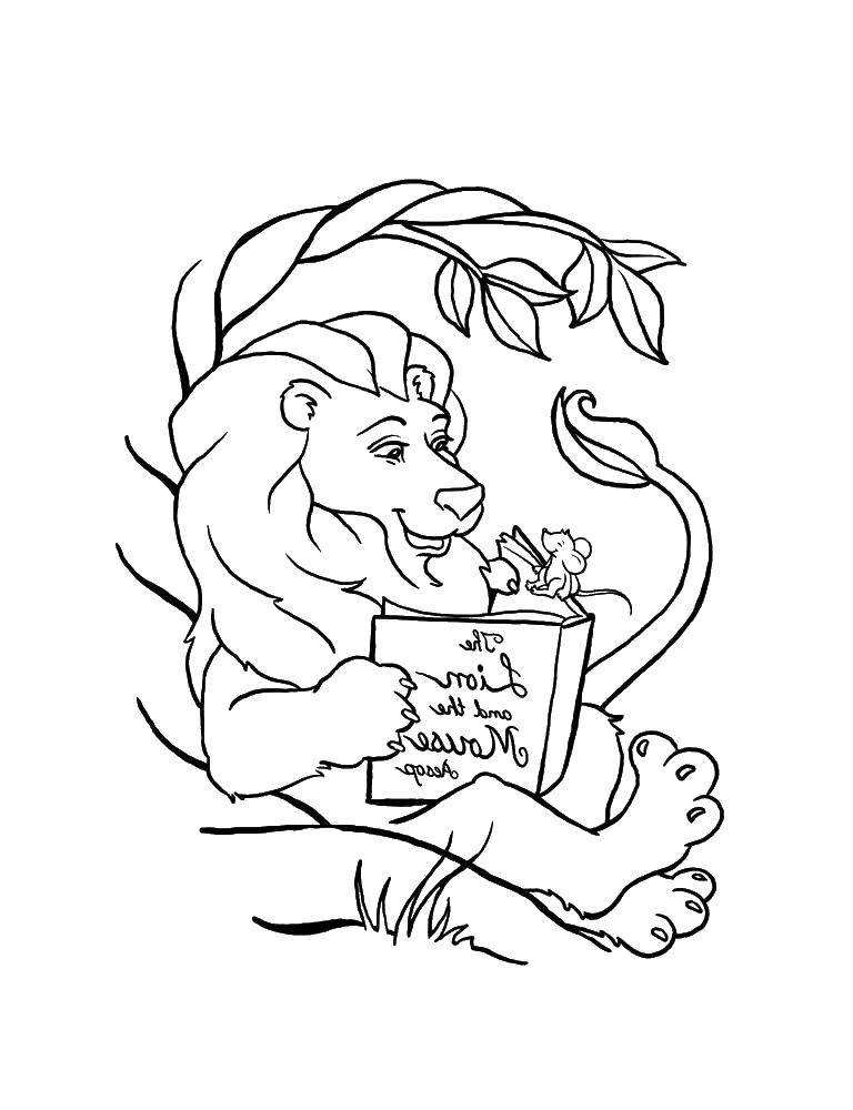 Название: Раскраска Лев читает книгу мышке. Категория: лев. Теги: лев, животное.