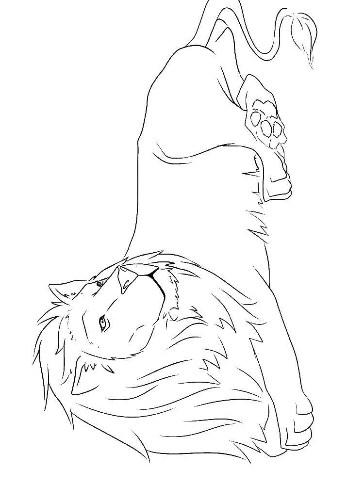 Coloring Leo. Category lion. Tags:  lion.