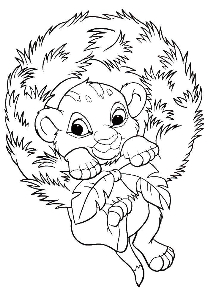 Coloring Lion cub Simba. Category The lion king. Tags:  lion king cartoon.