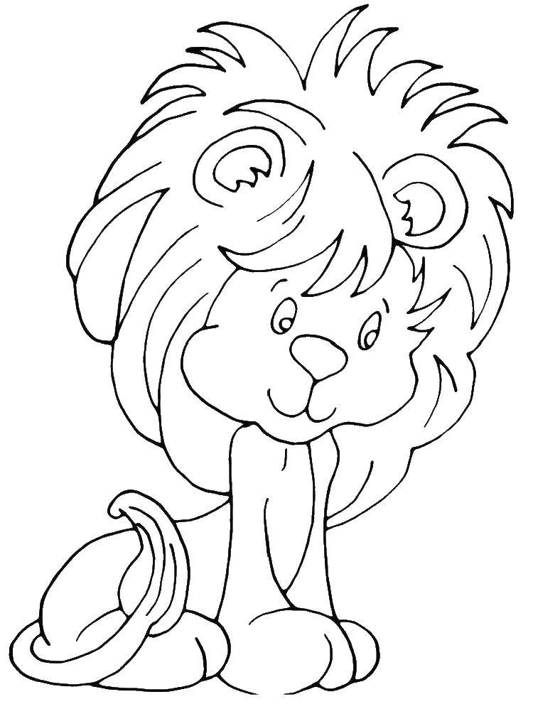 Coloring Lion. Category Animals. Tags:  animals, lion, cub.