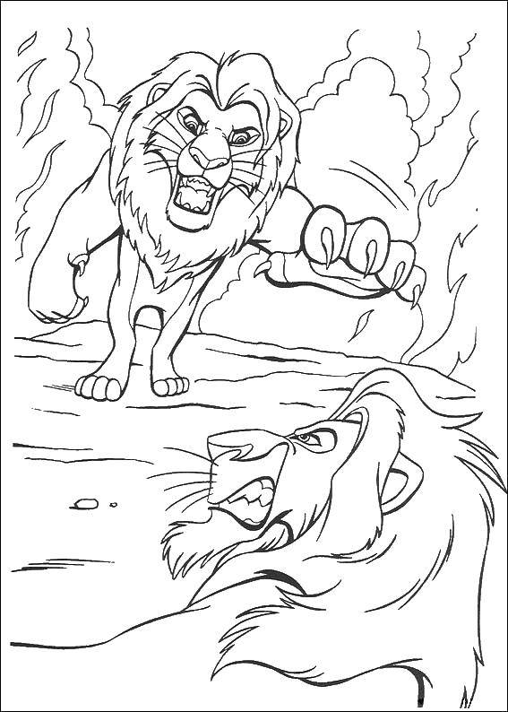 Название: Раскраска Муфаса против шрама. Категория: Король лев. Теги: король лев, Симба.