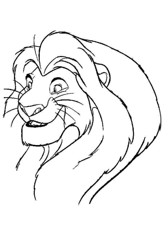 Название: Раскраска Симба король лев. Категория: Король лев. Теги: король лев, мультик.