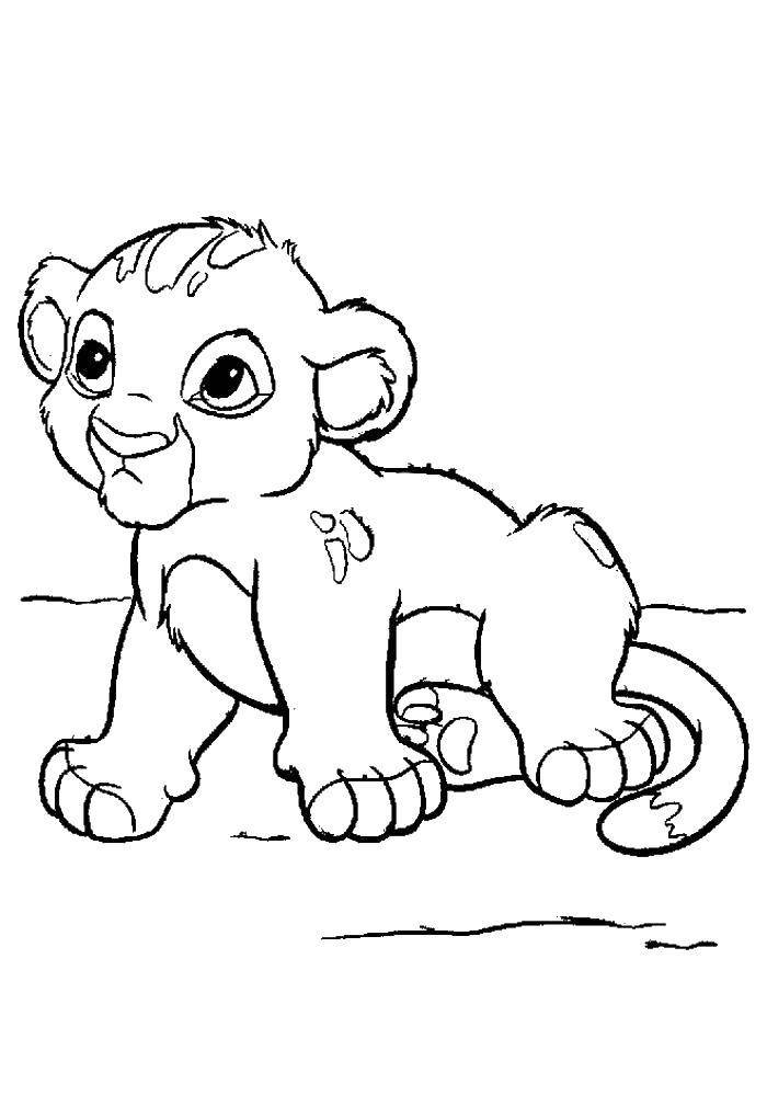 Coloring Simba the lion cub. Category The lion king. Tags:  Simba, Timon, Pumbaa.