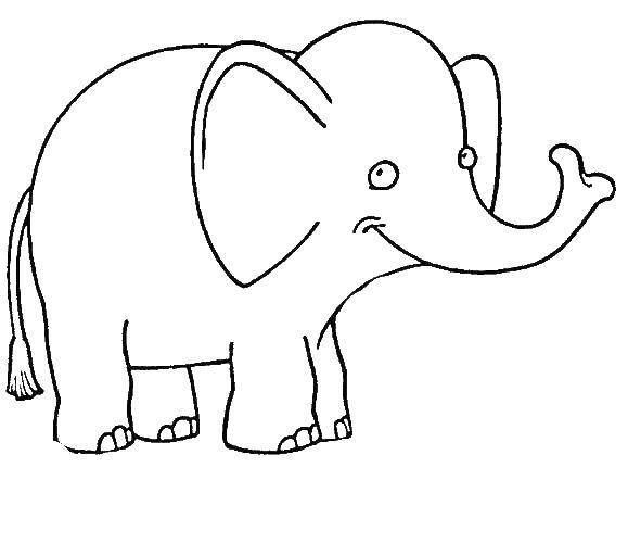 Название: Раскраска Слоненок. Категория: Животные. Теги: животные, слон, слоненок.