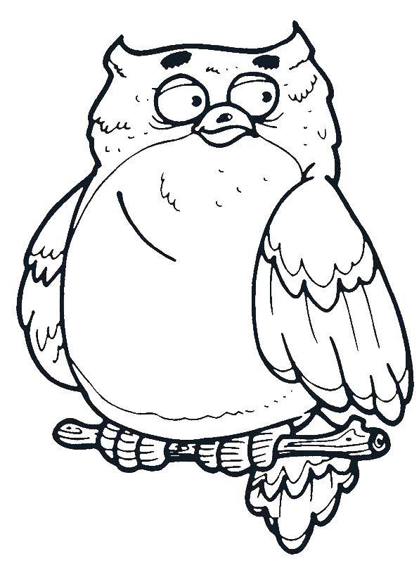 Coloring Owl on a perch. Category birds. Tags:  animals, birds, owl.