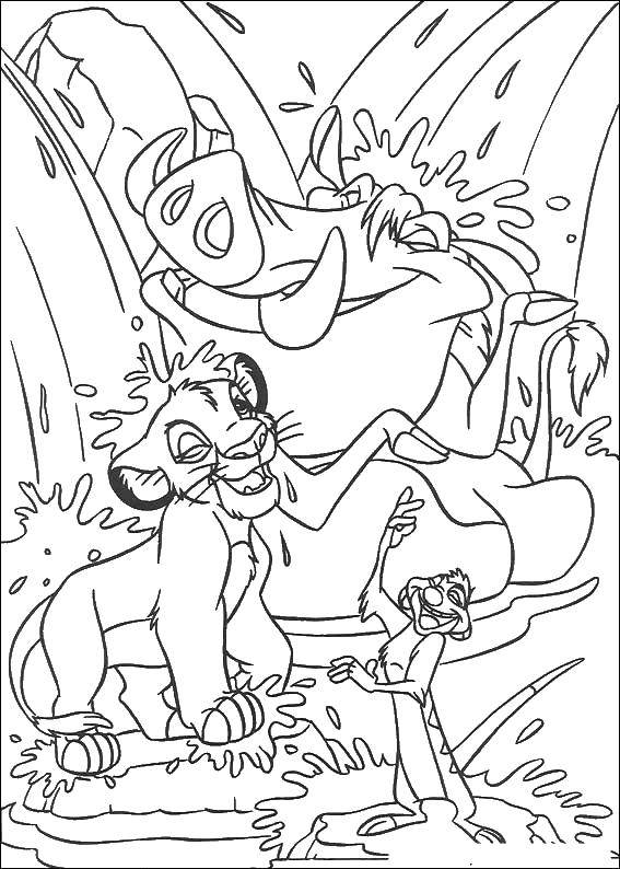 Coloring Timon and Pumbaa to Simba swimming. Category The lion king. Tags:  Simba, Timon, Pumbaa.