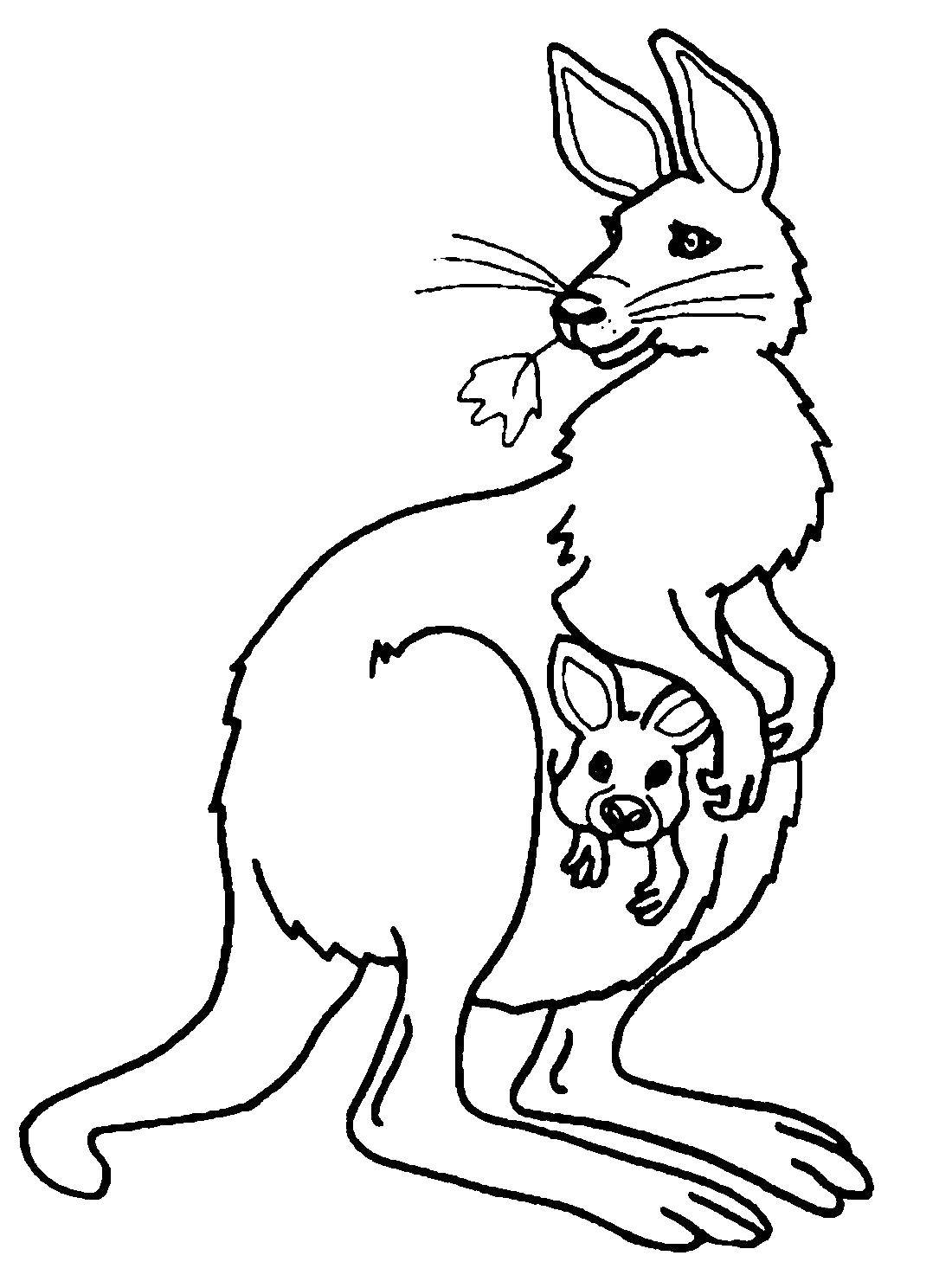 Coloring Kaguru. Category Animals. Tags:  kangaroo, animals, pocket.