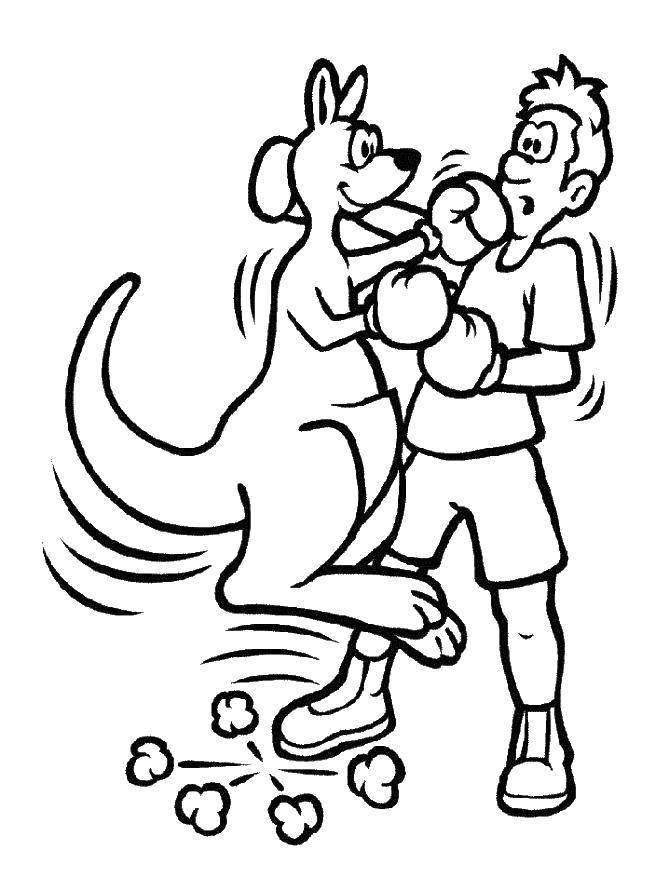 Coloring Kangeroo Boxing with a man. Category kangaroo. Tags:  kangaroo, boxer.