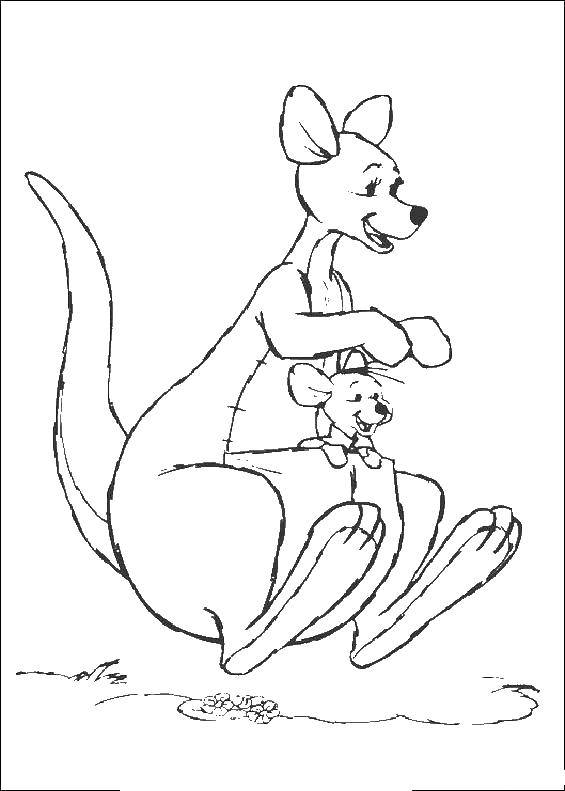 Coloring Kangaroo Kanga kangaroo with PY in the pocket. Category Disney cartoons. Tags:  Winnie the Pooh, Piglet, kangaroo.