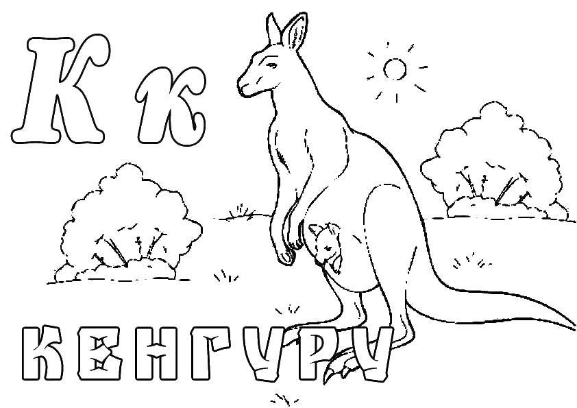 Coloring Kangaroo. Category Animals. Tags:  kangaroo, animal, QC.