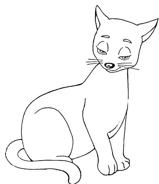 Coloring Kitty. Category Pets allowed. Tags:  animals, cat, kitten.