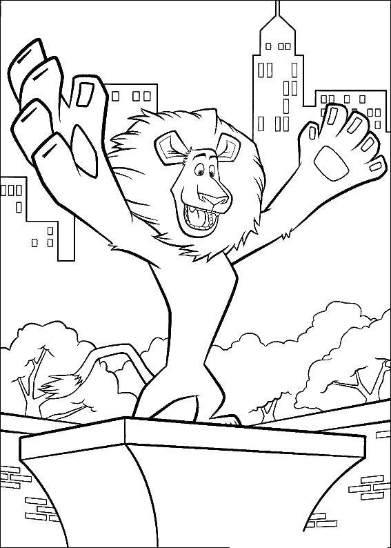 Coloring Alex the lion on the podium. Category Madagascar. Tags:  Madagascar, Alex.