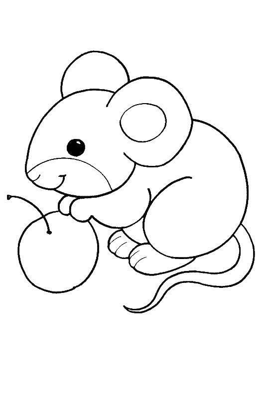 Название: Раскраска Милая мышка. Категория: Животные. Теги: животные, мышка.