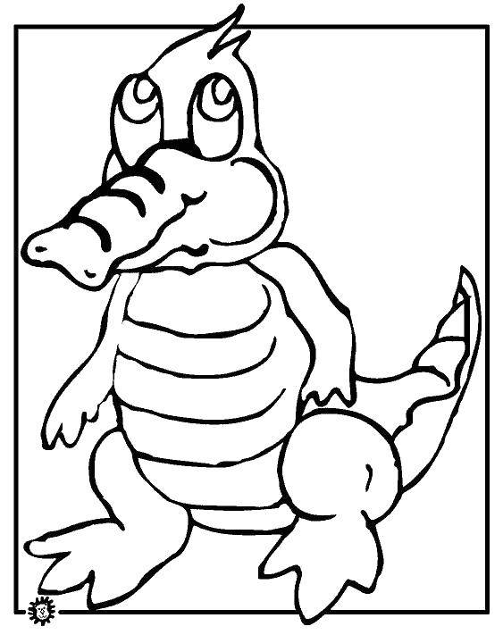 Coloring Cute crocodile. Category Animals. Tags:  animals, crocodile, crocodile.