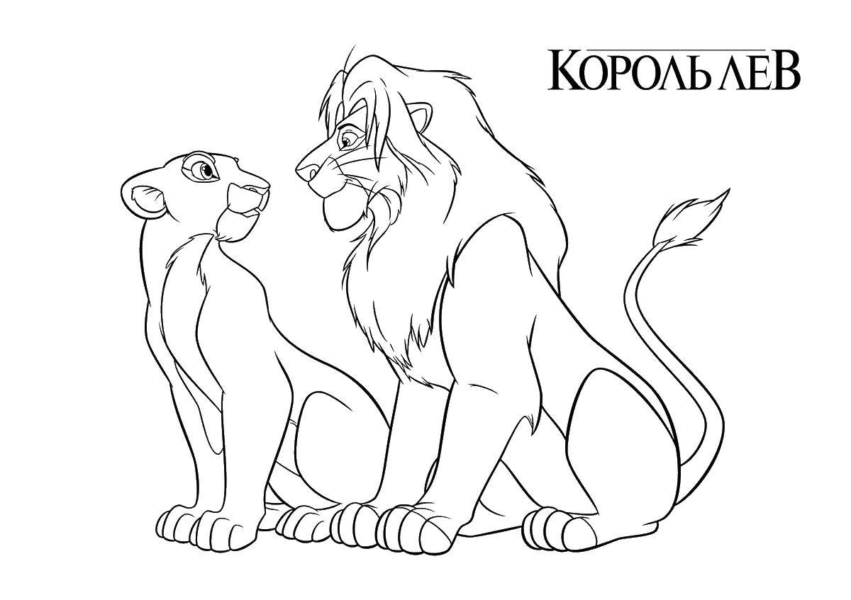 Название: Раскраска Мультфильм король лев. Категория: мультфильмы. Теги: Король Лев, мультфильмы, львы.