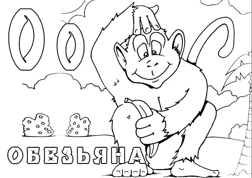 Название: Раскраска Обезьяна ест бананы. Категория: Животные. Теги: обезьяна, банан.
