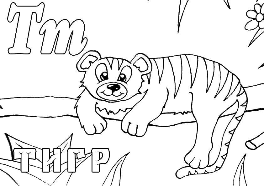Название: Раскраска Тигр в джунглях. Категория: Животные. Теги: тигр, джунгли.