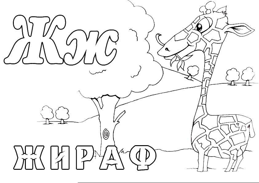 Coloring Giraffe. Category Animals. Tags:  animals, giraffe, LJ.