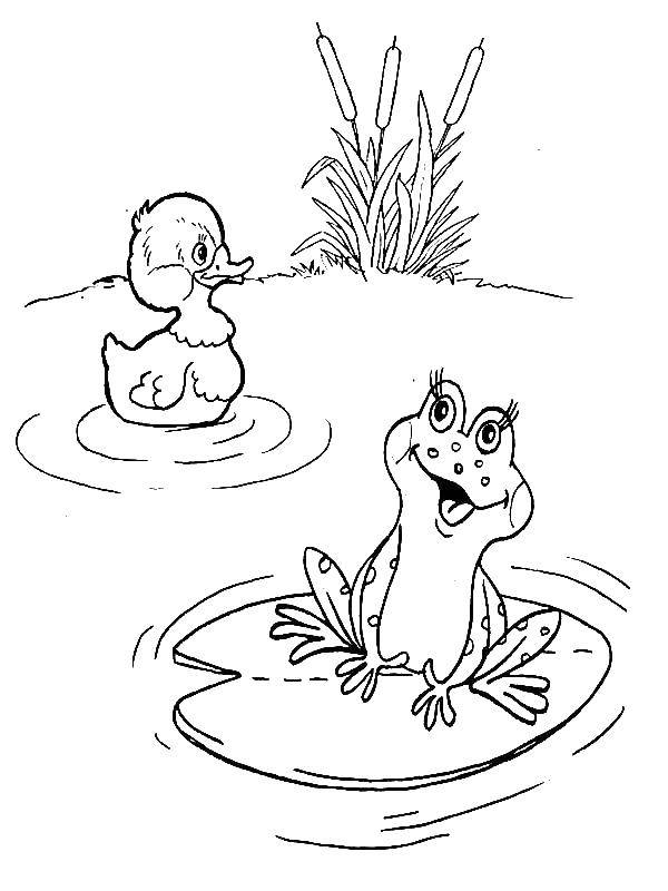 Розмальовки  Ставок з каченям і жабою. Завантажити розмальовку Жаба, ставок, качка.  Роздрукувати ,жаби,