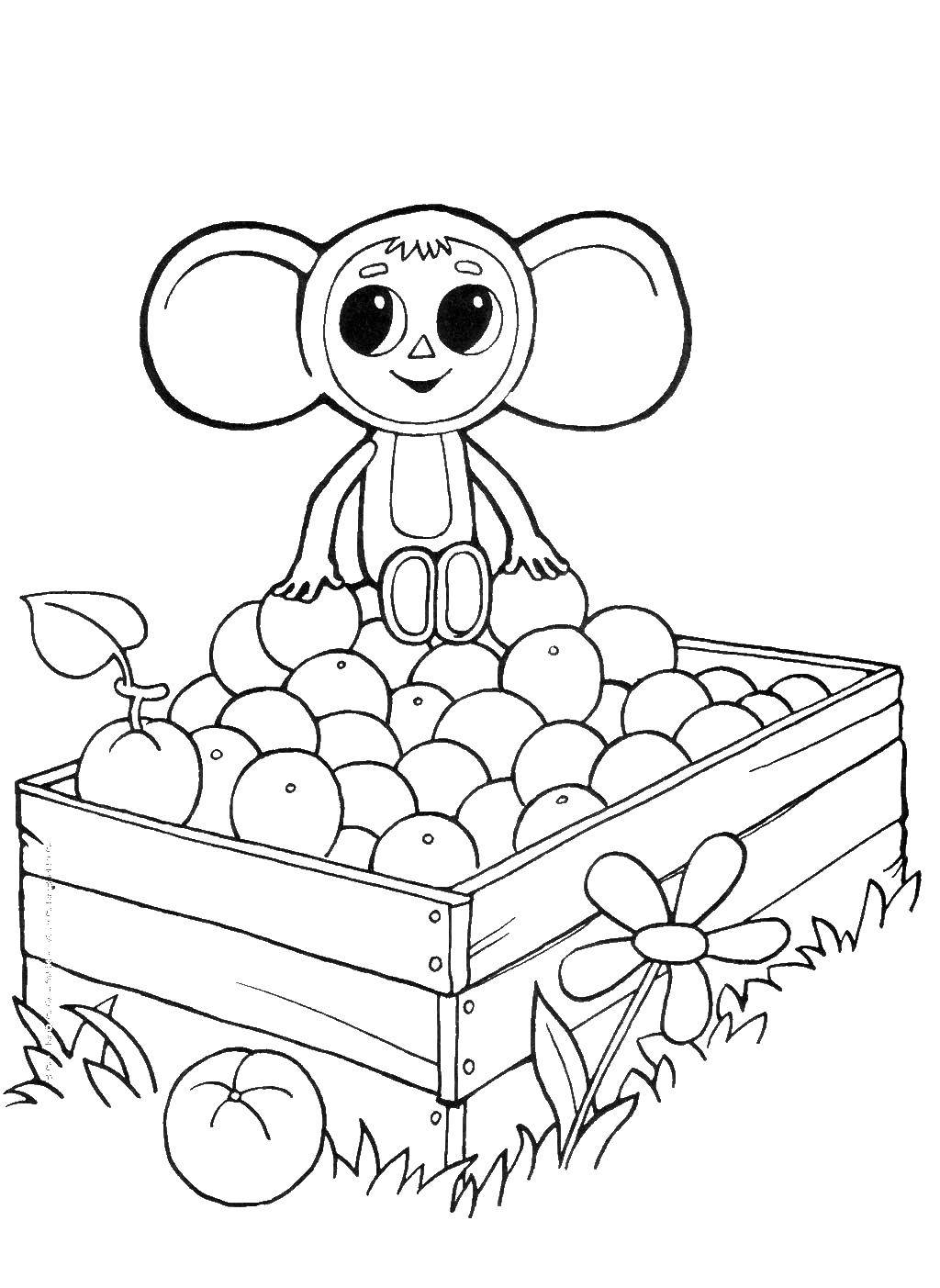Coloring Cheburashka in the box with apelsinam. Category Cheburashka. Tags:  Cheburashka, Gena.