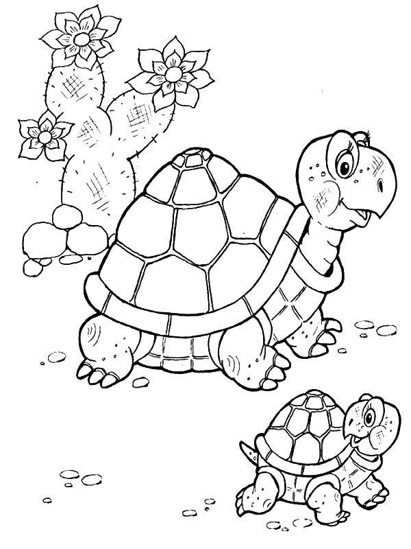 Coloring Turtle with Cherepashka. Category coloring. Tags:  The turtle in a thousand will.