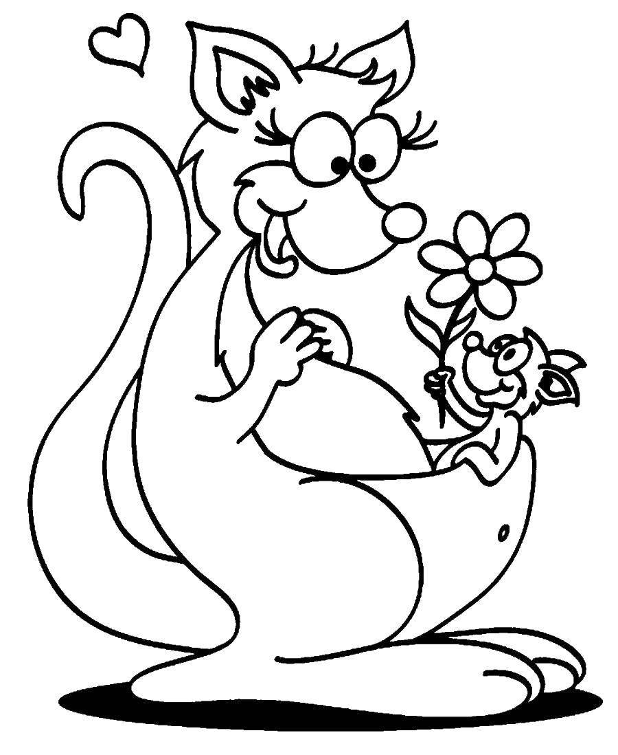Coloring Kangaroo with a baby. Category Animals. Tags:  kangaroo animals, kangaroo, pocket.
