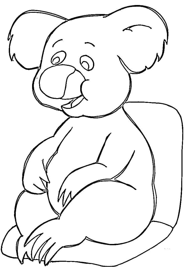 Название: Раскраска Коала сидит. Категория: коала. Теги: Коала, дерево.