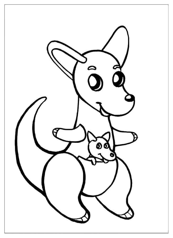 Coloring Cute kangaroo. Category kangaroo. Tags:  animals, kangaroo, kangaroos, pocket.
