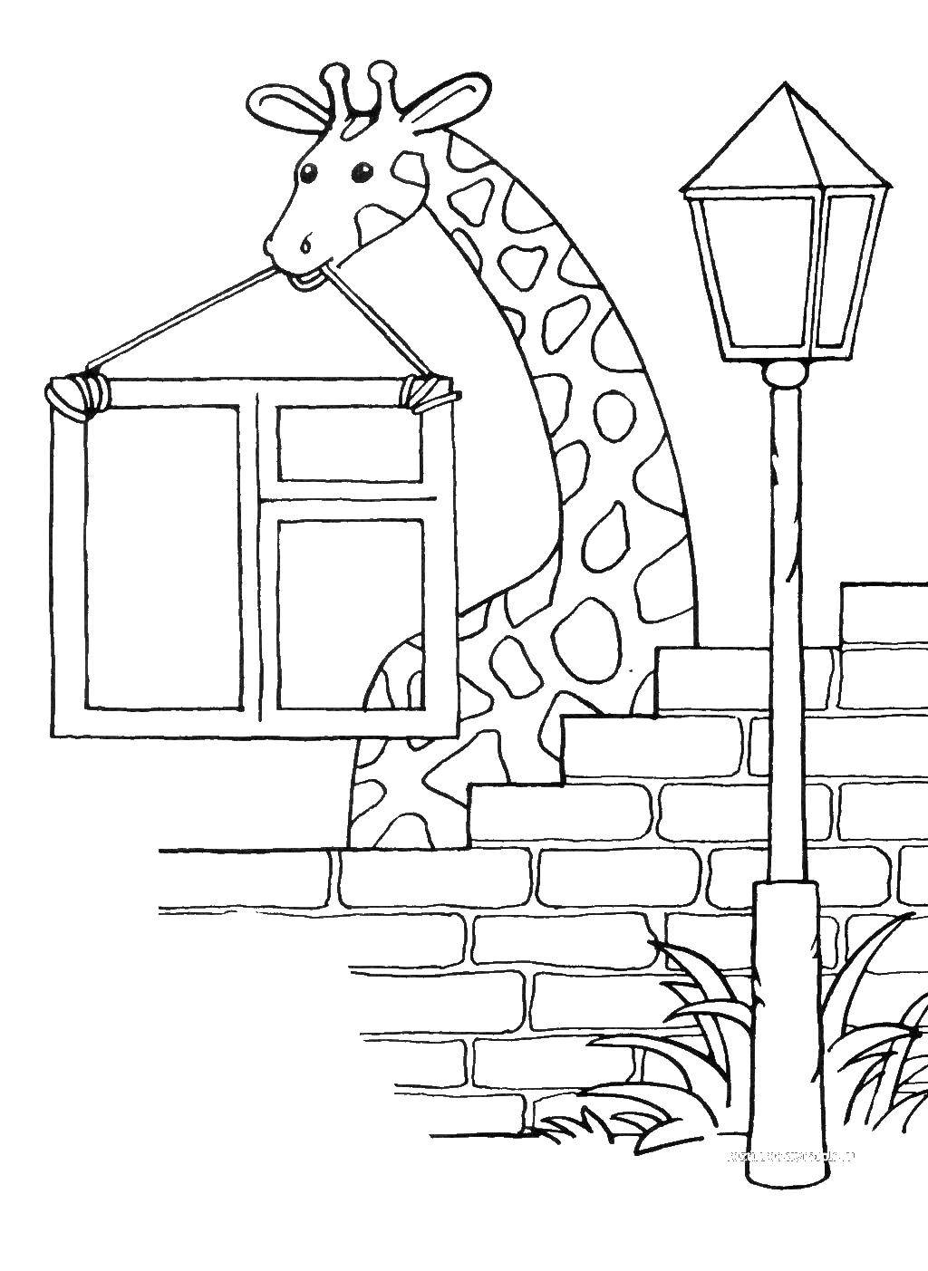 Coloring Giraffe building. Category Animals. Tags:  giraffe, animals.