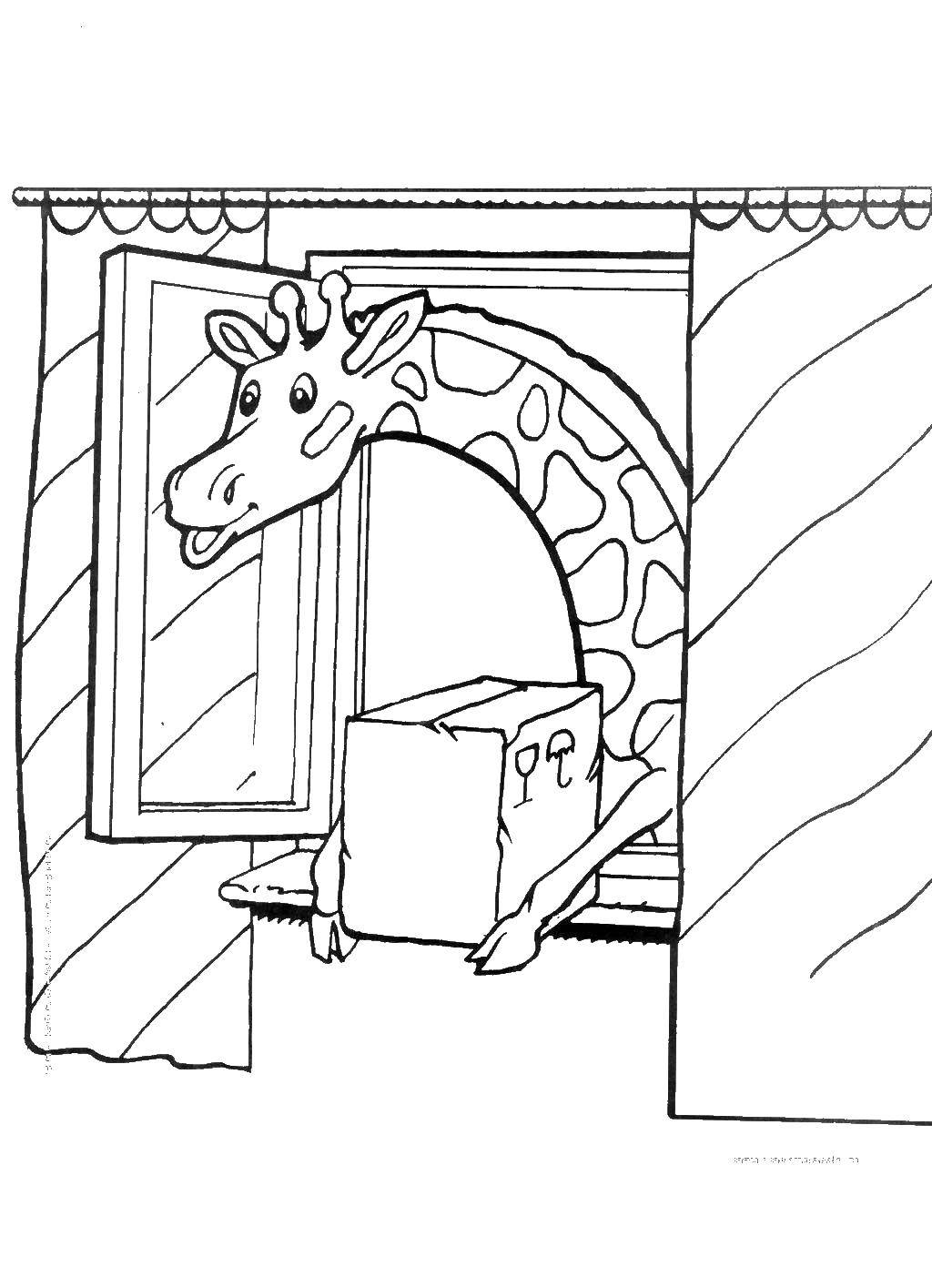 Название: Раскраска Жираф в окне. Категория: Животные. Теги: животные, мультфильмы, жираф.
