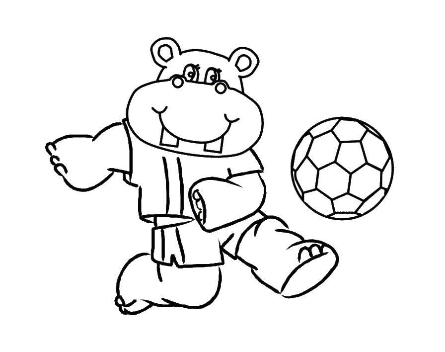 Coloring Hippo player. Category Hippo. Tags:  Hippo, football.