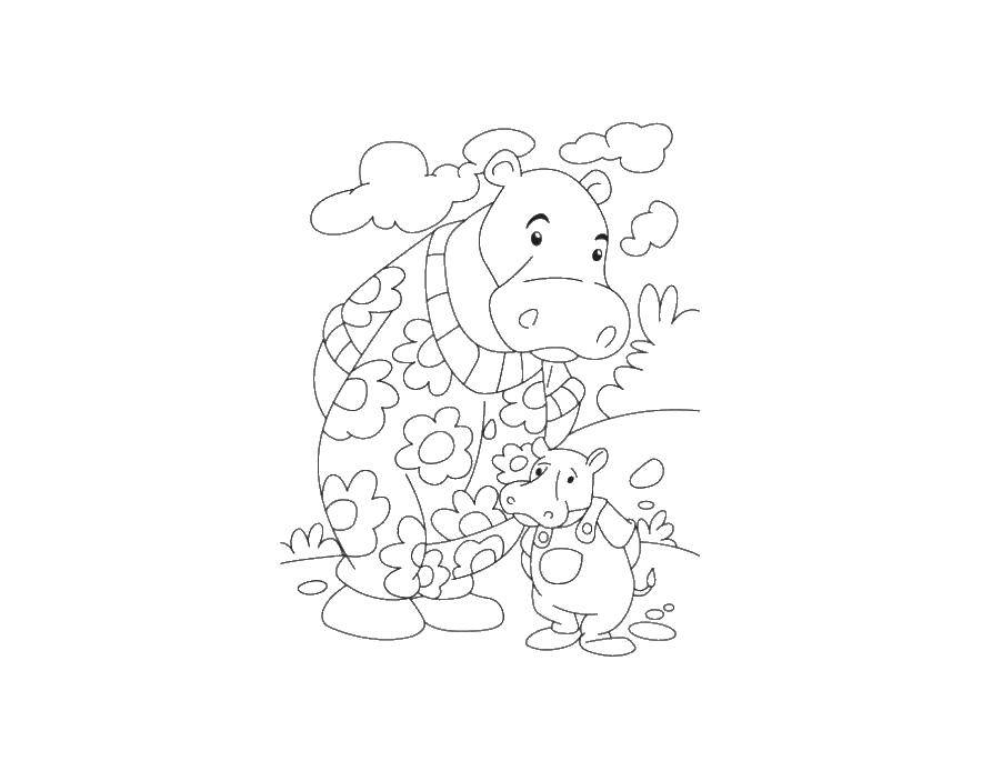 Coloring Hippo and baby Hippo. Category Animals. Tags:  animals, hippopotamus, Hippo.